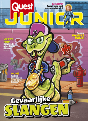 Quest Junior abonnement